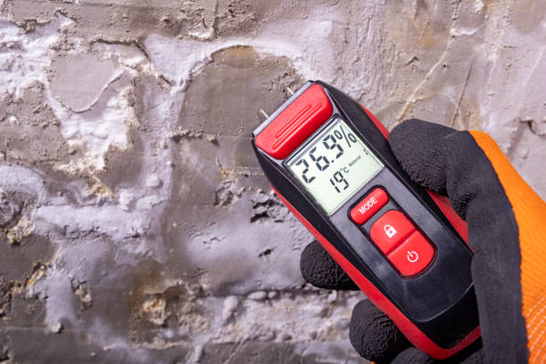 Best Mold Damage Repair  in Lyndon, KY